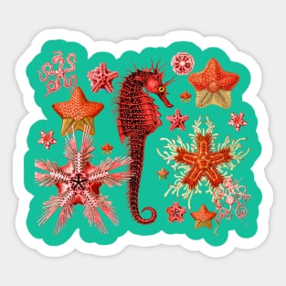 RED SEAHORSE AND SEASTARS IN TURQUOISE BLUE GREEN Sea Life Sticker